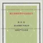 浙江省科技型中小企業(yè)證書(shū)